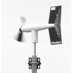 Anemometro Fox Windbird
