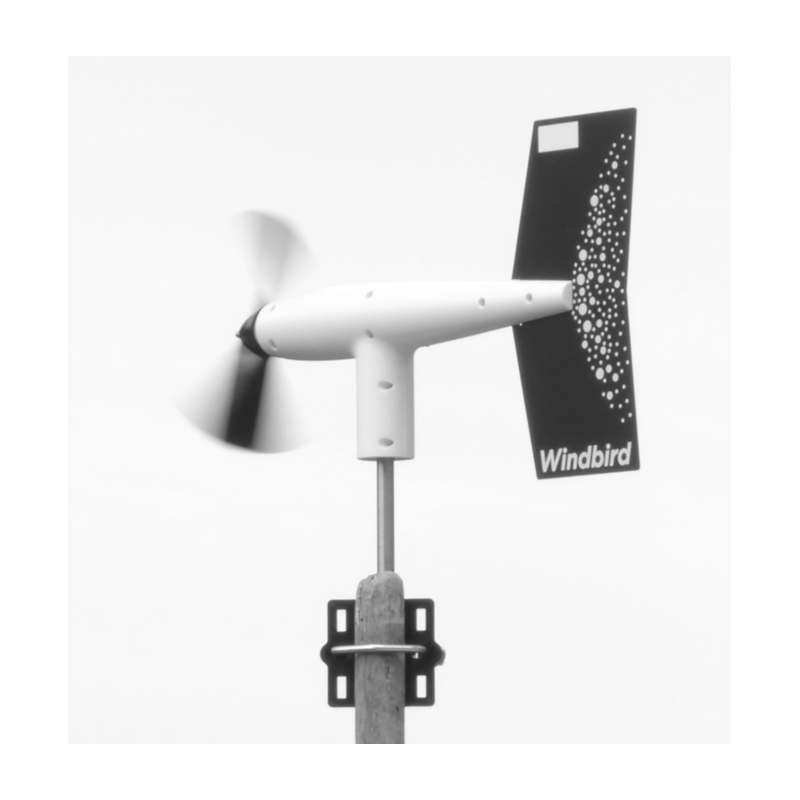 Anemômetro Fox Windbird