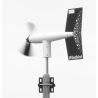 Anemometro Fox Windbird